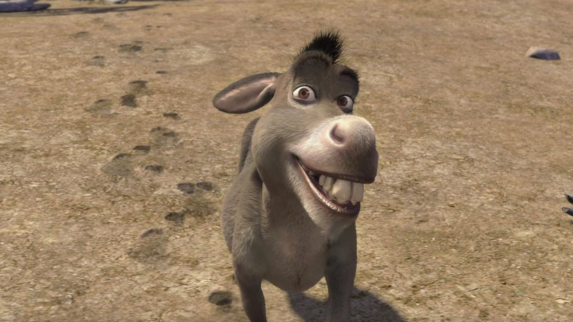 El burro de Shrek tendrá su propia película