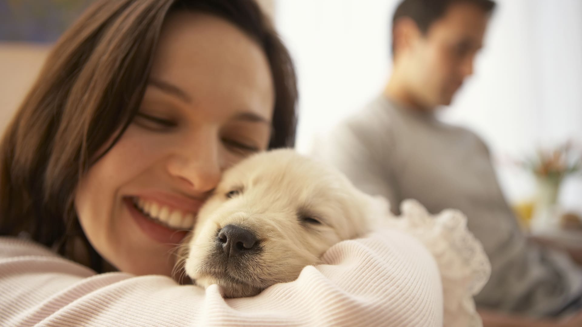 Proponen en New York reducción de impuestos por gastos en perros y gatos.
